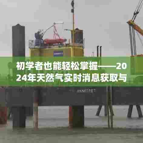 初学者进阶手册,2024年天然气实时消息获取与解读步骤指南