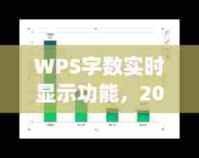 WPS字数实时显示功能深度解析，2024年12月22日观察报告