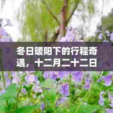 冬日暖阳下的温馨旅程，奇遇与温馨的十二月二十二日行程