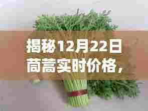 绿叶蔬菜市场揭秘,茼蒿实时价格深度探讨(12月22日)