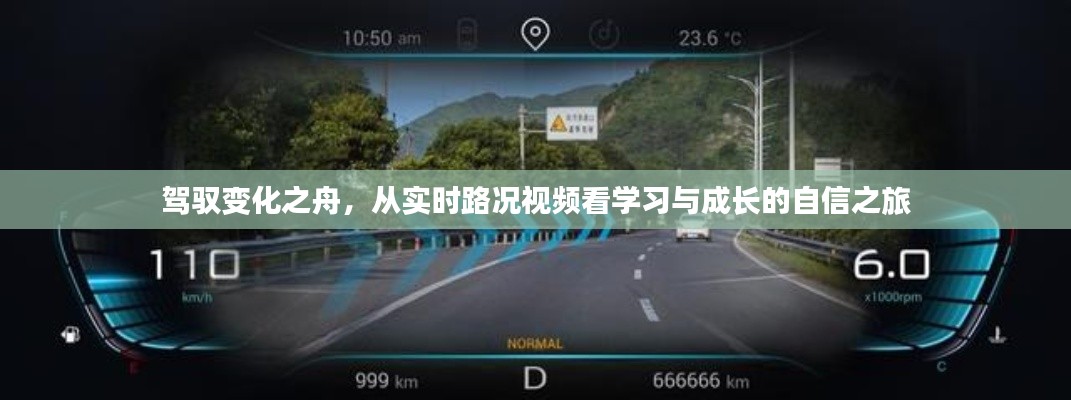 百鸟争鸣 第2页