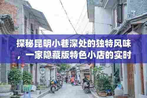 昆明小巷深处的独特风味，隐藏版特色小店的探索之旅
