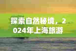 探索自然秘境，上海旅游新风尚，心灵宁静之旅启程于2024
