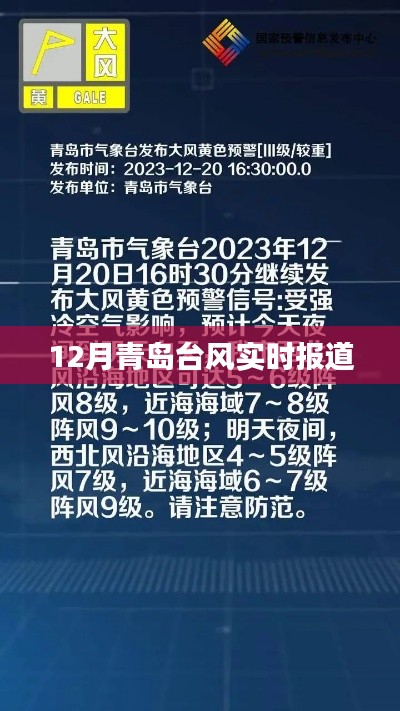 青岛台风最新实时报道,12月风暴动态