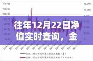 金融投资实时净值查询,透明便捷,洞悉投资动向