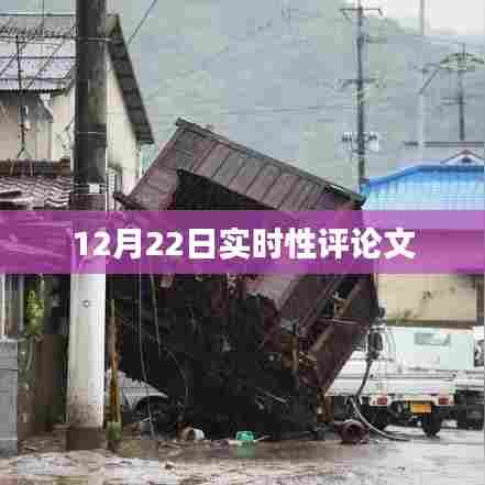 12月22日时事评论,实时观察与深度分析