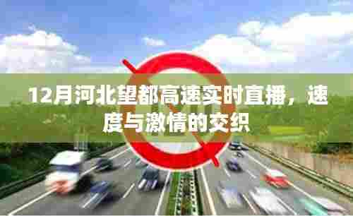 河北望都高速12月实时直播,速度与激情的碰撞