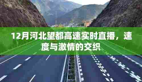 河北望都高速12月实时直播，速度与激情的碰撞