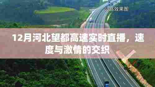河北望都高速12月实时直播,速度与激情的碰撞