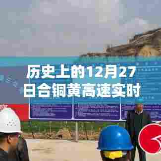 鸟覆危巢 第3页