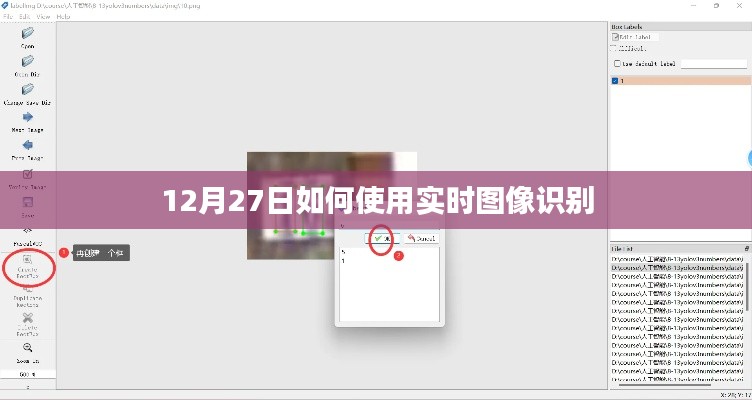 实时图像识别使用指南,12月27日操作教程