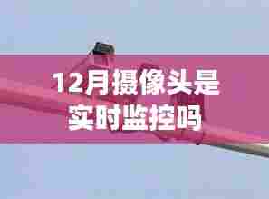 12月摄像头实时监控解析