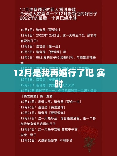 12月再婚计划启动,我的新生活篇章开启实时更新