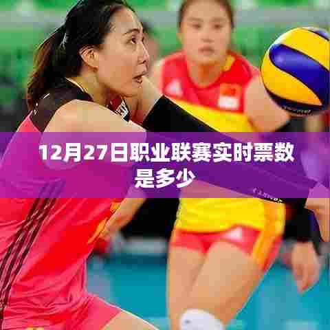 12月27日职业联赛实时票数更新