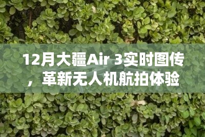 大疆Air 3实时图传,无人机航拍革新体验