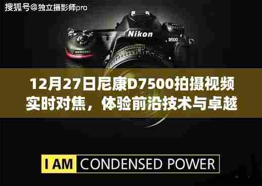 夭桃秾李 第3页