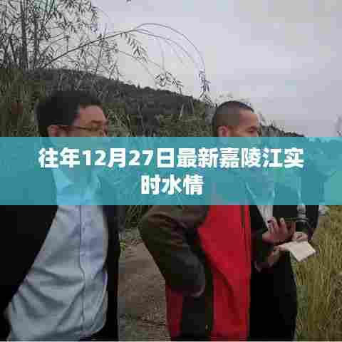 嘉陵江最新水情实时更新,关注水情变化