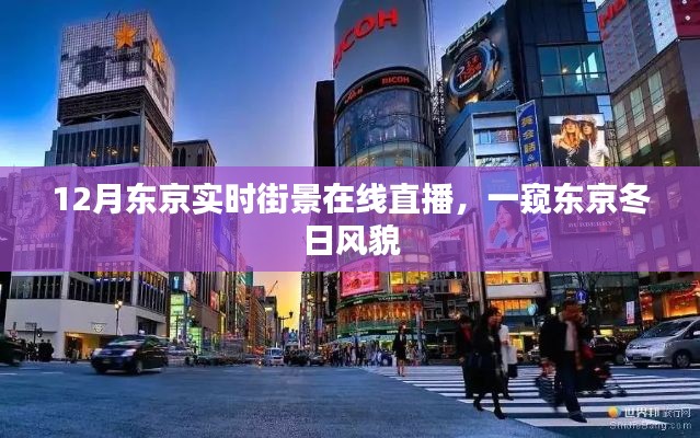 东京冬季街景直播，实时感受冬日风情
