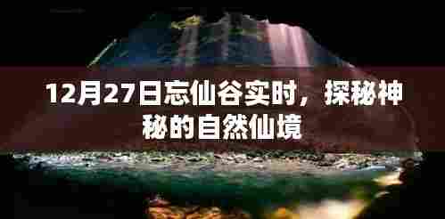 探秘忘仙谷,神秘自然仙境实时探秘(12月27日)
