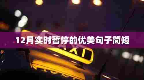 精选优美句子,时光暂停在静美的十二月