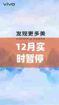 精选优美句子,时光暂停在静美的十二月