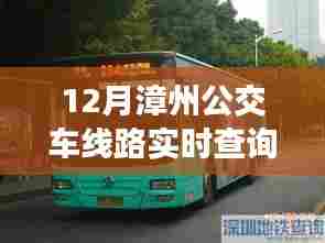 漳州公交实时查询系统,12月线路更新