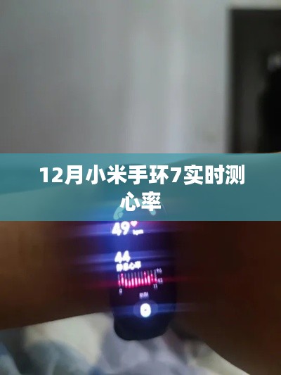 小米手环7实时心率监测功能介绍