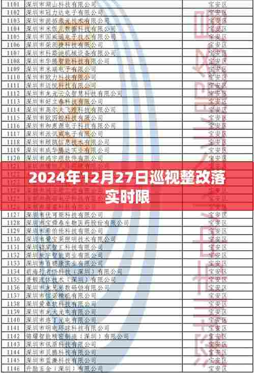 巡视整改落实时限倒计时启动,确保整改成效,监督执行至2024年结束