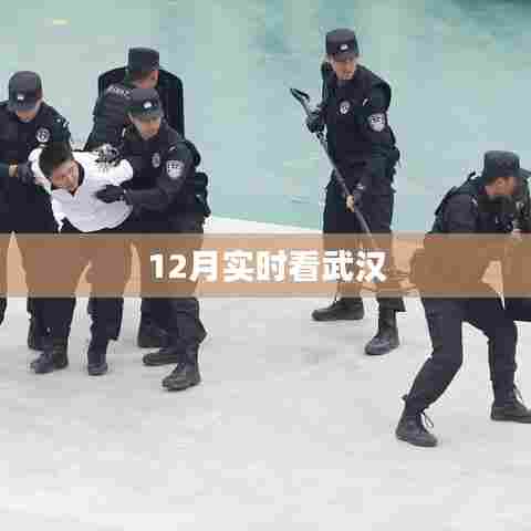 武汉十二月实时观察