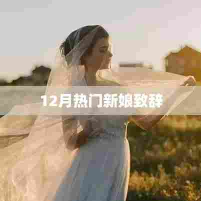 12月新娘感人致辞，婚礼上的温情瞬间