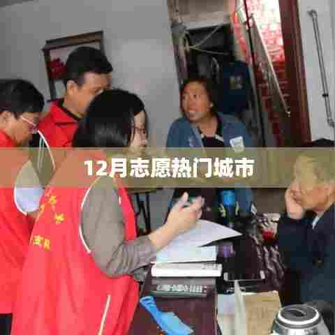 志愿热门城市榜单揭晓,12月哪些城市最受瞩目?