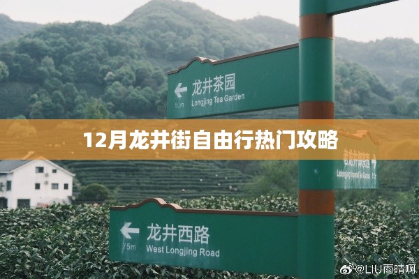 十二月龙井街自由行指南