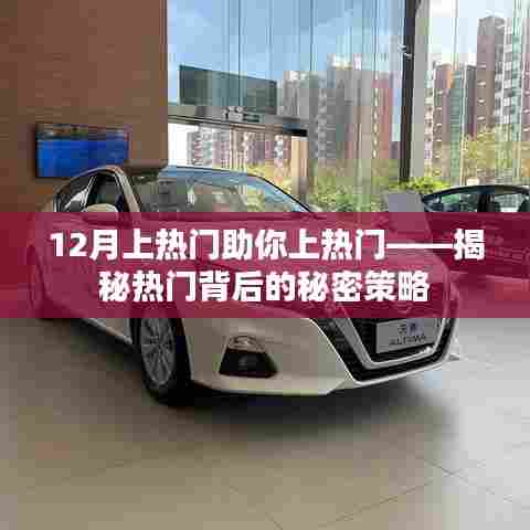 揭秘热门背后的秘密策略,助力12月快速上热门
