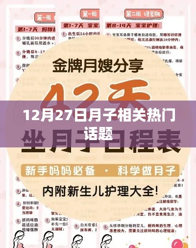 月子话题热议,12月27日热门探讨