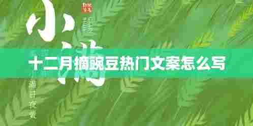 十二月摘豌豆，丰收喜悦分享