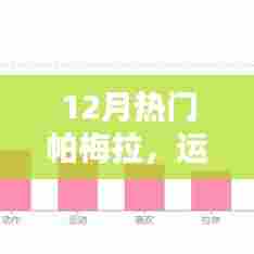 帕梅拉运动热潮背后的健身魅力解析