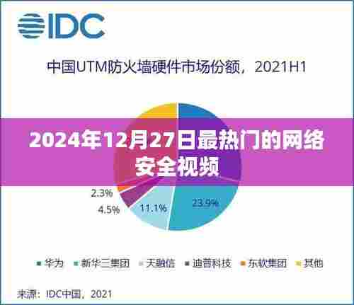 2024年网络安全热点解析,最新热门视频
