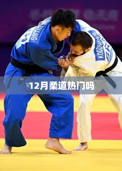 柔道在冬季运动中的热门程度分析