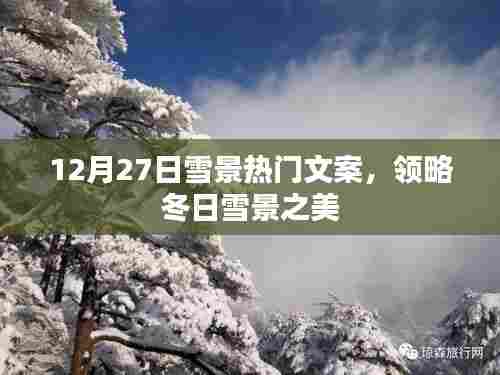领略冬日雪景之美,热门文案欣赏,12月27日雪韵如画