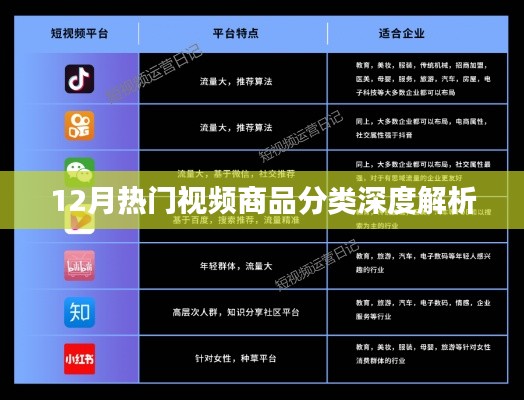 12月热门视频商品分类深度解读