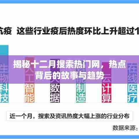 揭秘十二月网络热点背后的故事与趋势