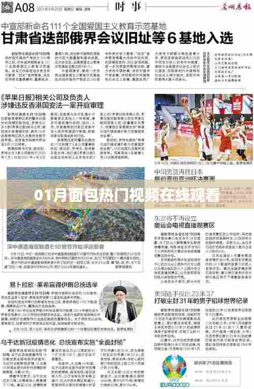 热门面包视频在线观看，一月精选合集