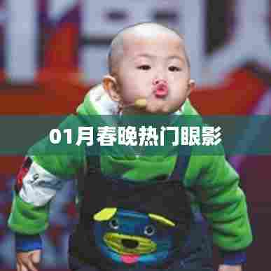 01月春晚流行眼影盘点