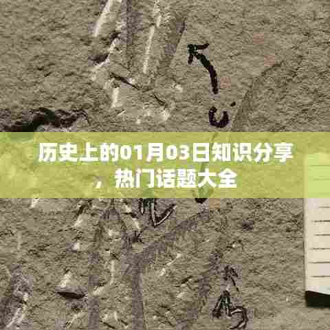 历史新知分享,一月三日热门话题概览