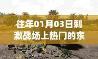 「刺激战场热门物品盘点，历年元旦新潮流」
