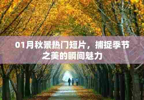 01月秋景短片，捕捉季节魅力的瞬间