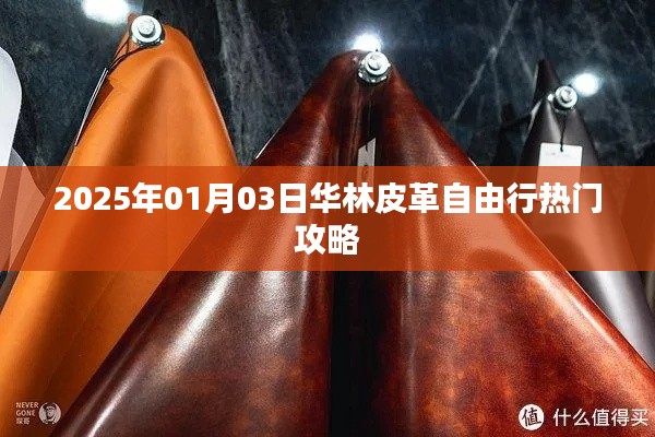 华林皮革自由行,热门攻略抢先收藏