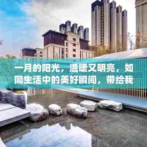 一月阳光温暖，热门欢快文案展现活力，迎接美好瞬间