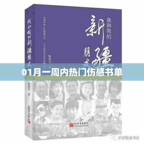 一月伤感热门书籍推荐