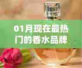 最新热门香水品牌榜单揭晓